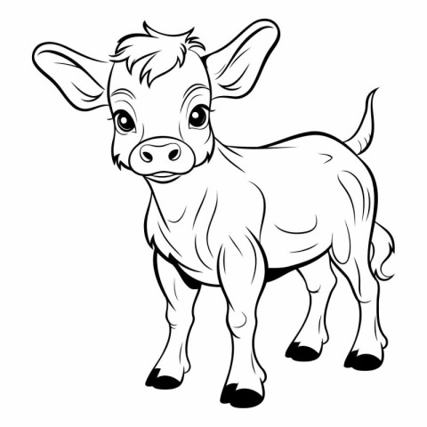 illustration of a cow in black and white colors on a white backg