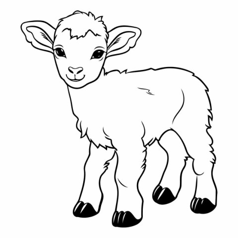 Vector image of a cute baby sheep on a white background. Colorin