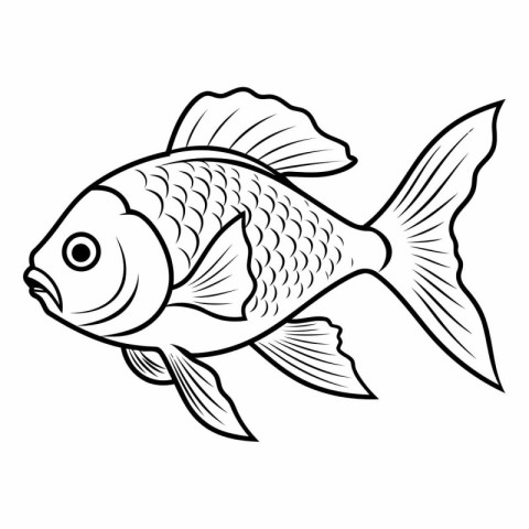 Fish icon. Outline illustration of fish vector icon for web desi