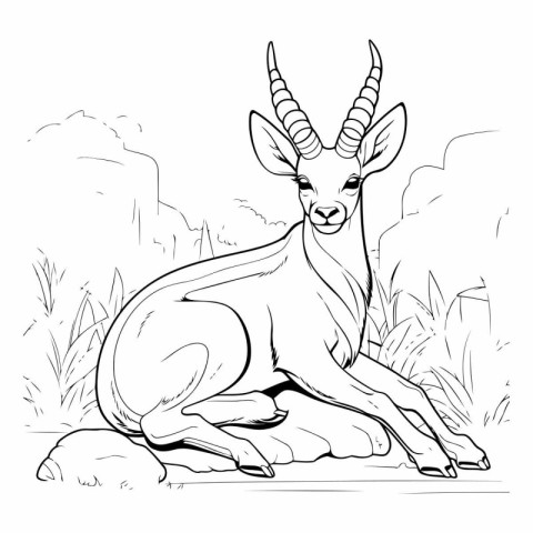 Black and white sketch of antelope sitting on stone