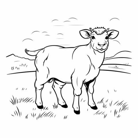 Sheep. sketch for your design on white background.