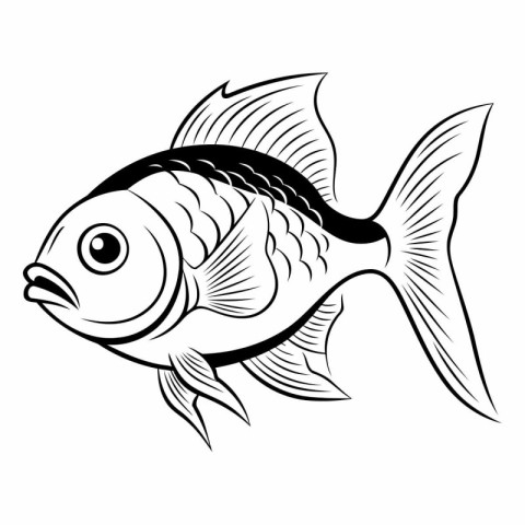 Black and white illustration of a fish isolated on a white backg