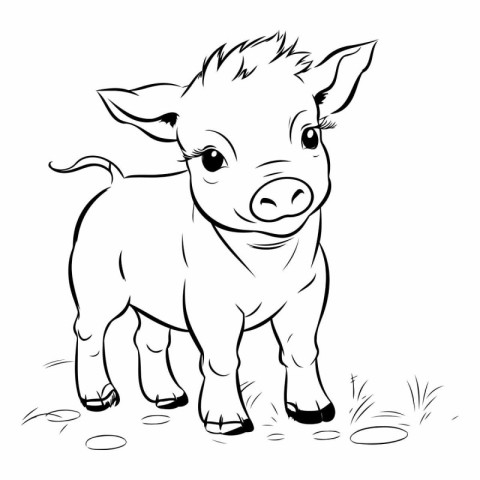 Vector image of a pig on a white background. Farm animal.