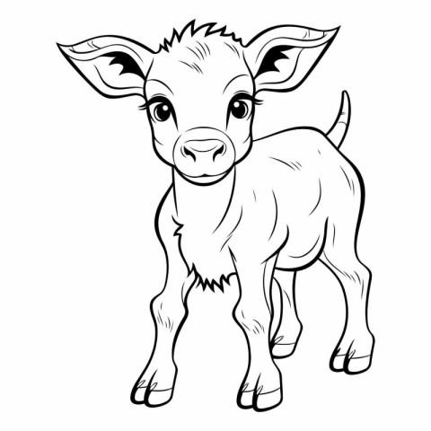 Vector image of a cute cartoon baby calf on a white background.