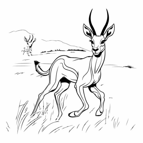 Black and white illustration of antelope in the field. Vector im