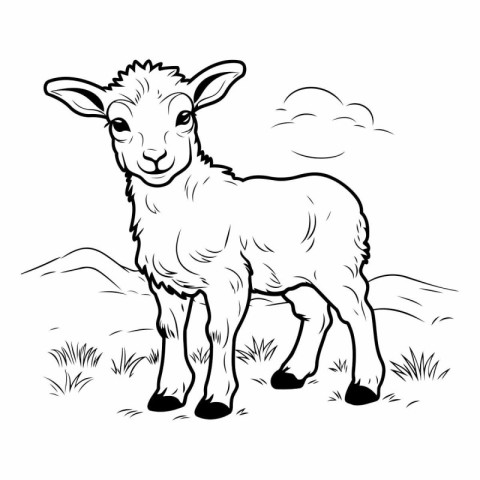 Vector image of a sheep on a background of the sky and grass.