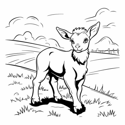 Deer in the field. Black and white vector illustration for color