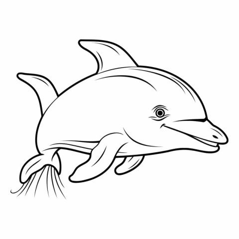 Dolphin icon. Outline illustration of dolphin vector icon for we