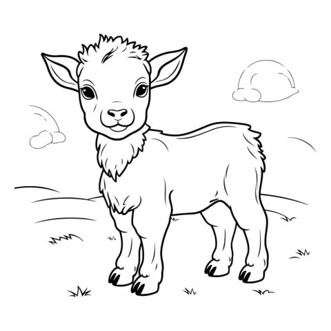 Vector illustration of a cute baby goat on a meadow. Coloring bo