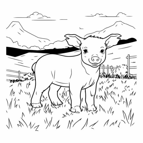 Coloring book for children: farm animals. Cute pig.