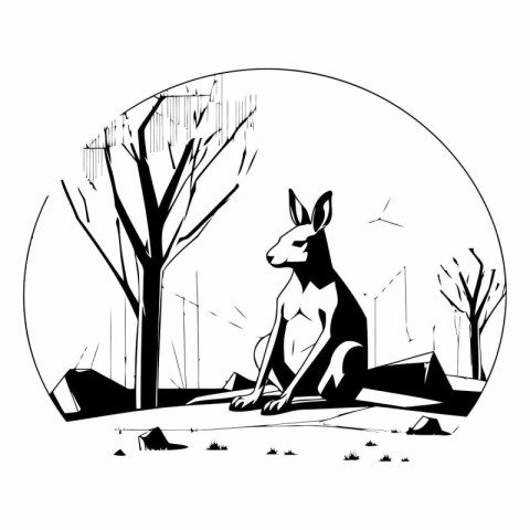 Kangaroo in the forest of kangaroo.