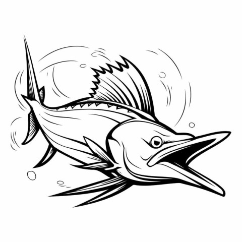 Marlin Fish. Black and White Vector Illustration. Isolated On Wh