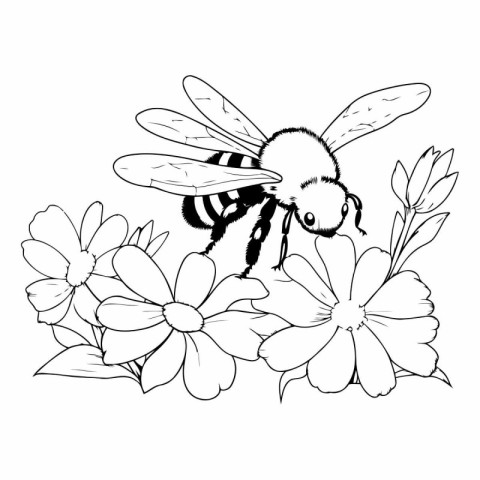 bee with flowers and leafs icon cartoon black and white vector i