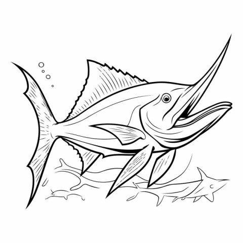 Illustration of a marlin fish on a white background