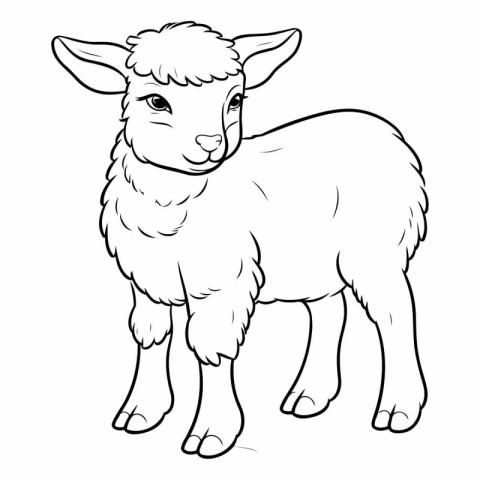 Vector image of a sheep. Coloring book for children and adults.