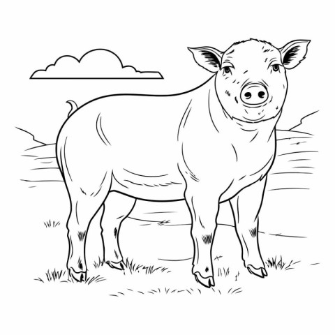 Sketch of a pig on the farm. Farm animal.