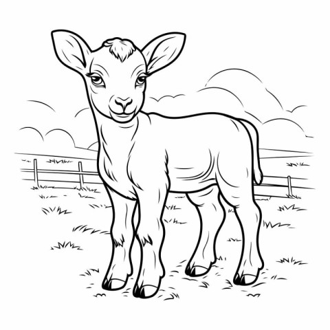 Illustration of a calf on a farm. Black and white vector illustr