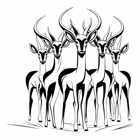 Silhouette of a group of impala.