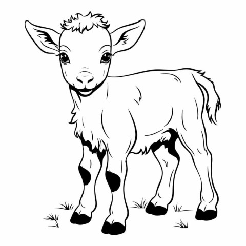 Vector image of a goat on a white background. Farm animal.