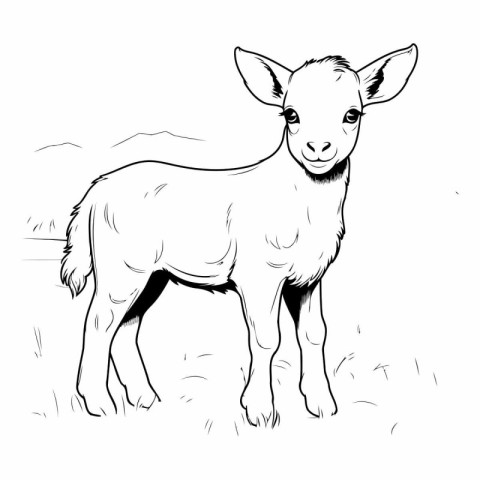 Vector image of a goat. Black and white illustration of a goat.