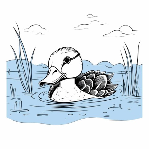 Duck swimming in the lake. Black and white vector illustration.