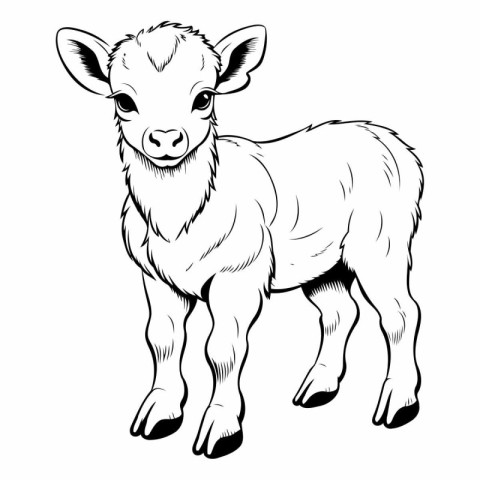 Vector image of a sheep on a white background. Black and white i