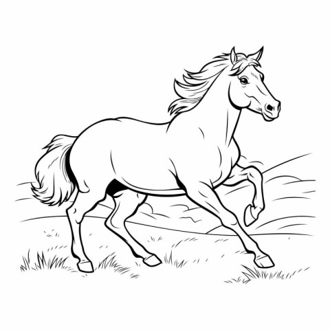 Horse running on the meadow. Black and white vector illustration