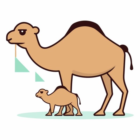 Camel with a baby on a white background.