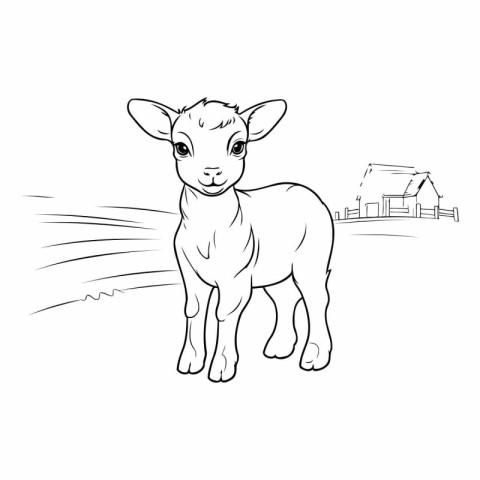 Cute little lamb standing on the farm. Hand drawn vector illustr