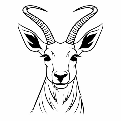 Antelope black and white vector illustration isolated on a white