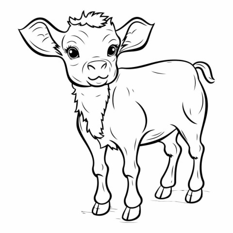 Illustration of a Cute Little Baby Goat. Coloring Book