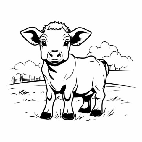 Black and white vector illustration of a calf standing in the fi