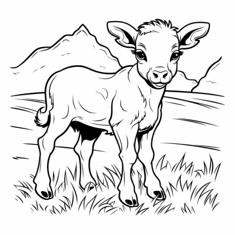 Vector illustration of a young calf on a meadow. Black and white