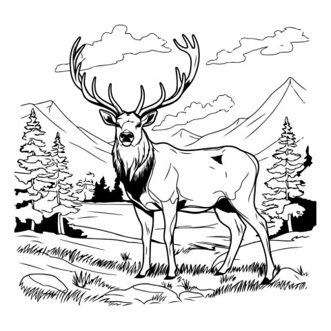 Deer in the mountains. Black and white vector illustration for c