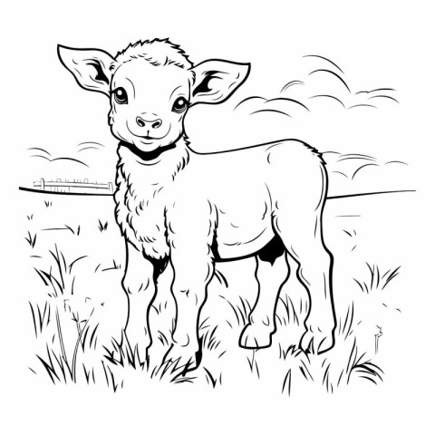 Vector image of a lamb on a meadow. Black and white illustration