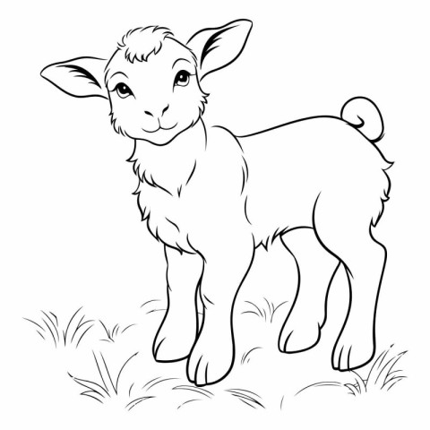 Vector image of a goat on a white background. Farm animal.