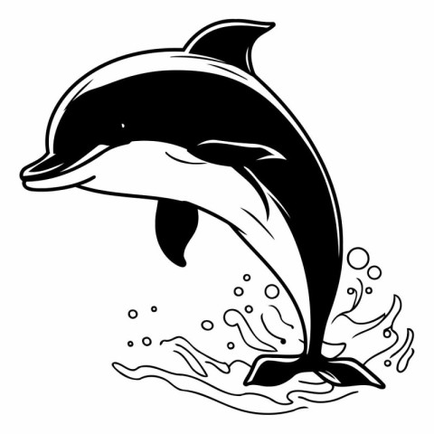 Dolphin jumping out of water. black and white vector illustratio