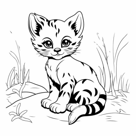 Cute kitten sitting in the grass for coloring book.