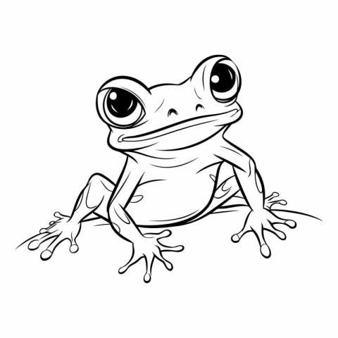 Frog isolated on a white background for your design