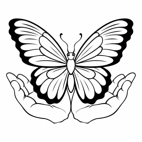 Butterfly in the hands. Black and white vector illustration.