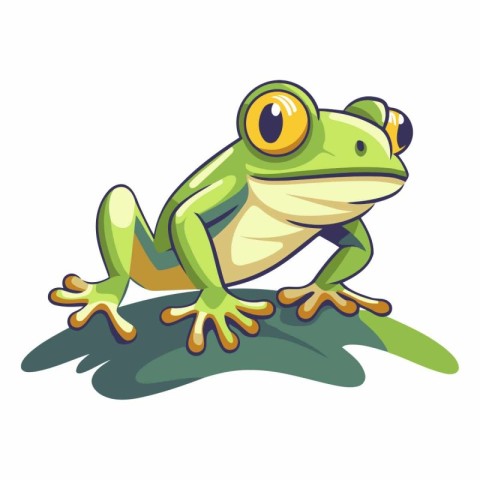 Cartoon green frog isolated on white background for your design