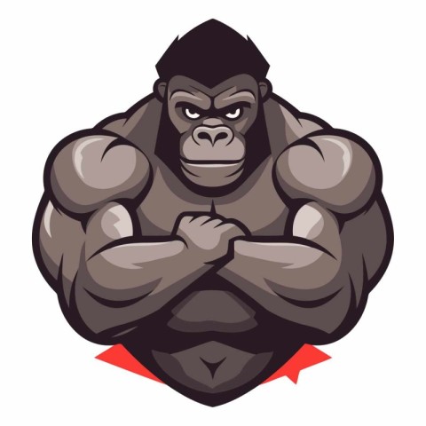 Vector illustration of a strong gorilla with arms folded isolate