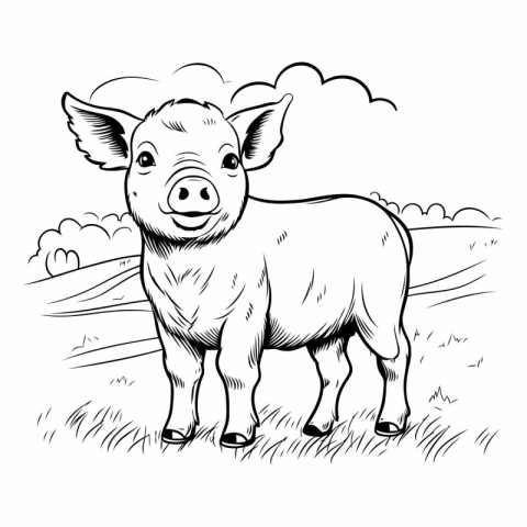 Cute cartoon pig. Farm animal. Black and white vector illustrati