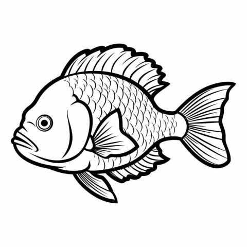 Fish icon. Outline illustration of fish vector icon for web desi