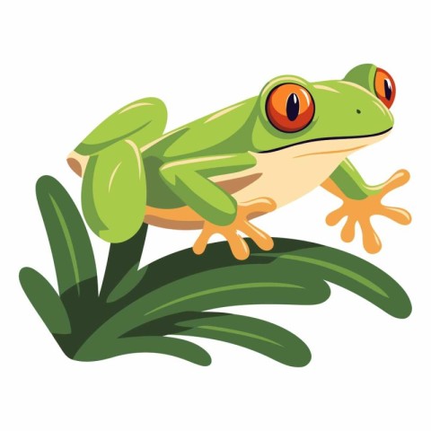 Frog on a white background. eps 10