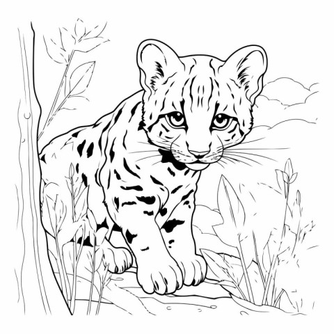 sketch of a leopard on a stone in the grass