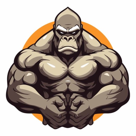 Vector illustration of a strong gorilla with big muscles. Isolat