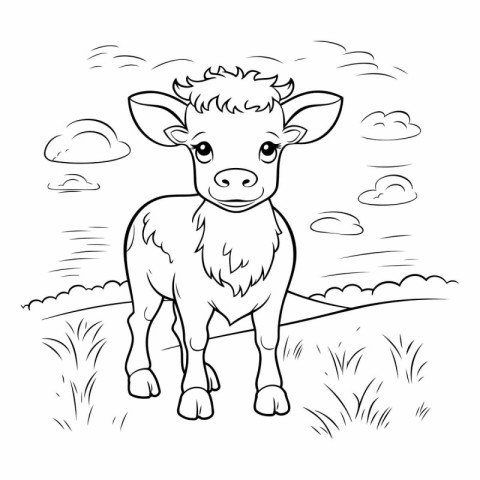 Cute little calf on the meadow for coloring book.