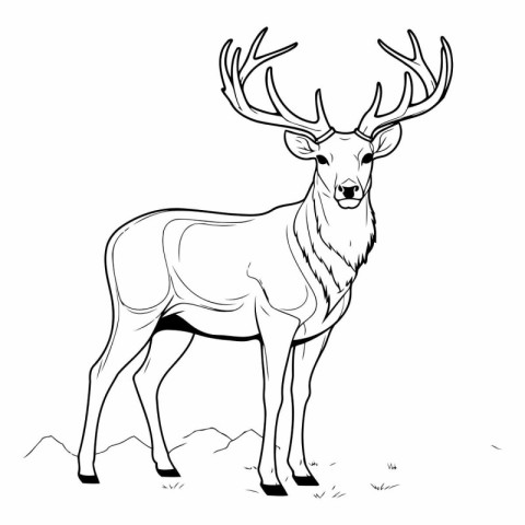 Deer with big antlers of a deer.