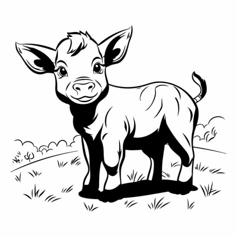 Black and white vector illustration of a pig standing in the gra